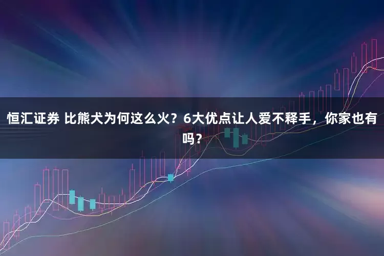 恒汇证券 比熊犬为何这么火？6大优点让人爱不释手，你家也有吗？