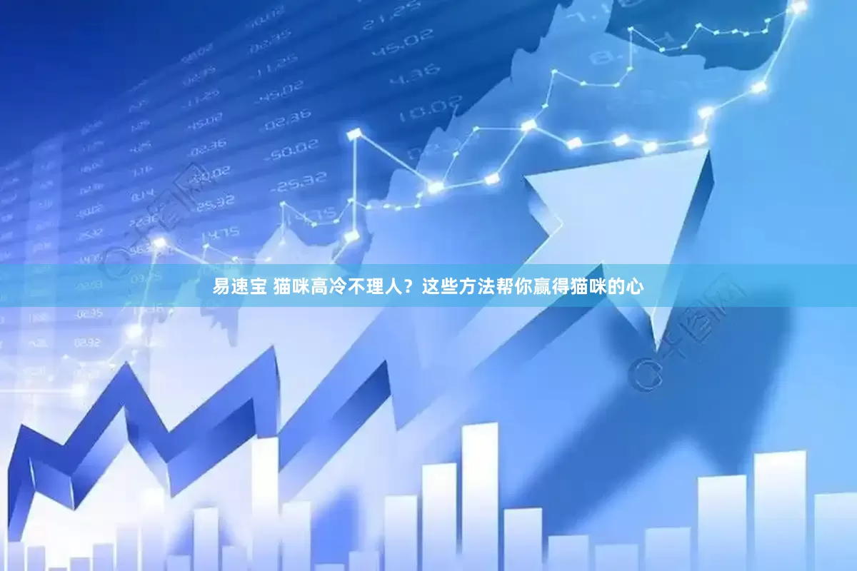 易速宝 猫咪高冷不理人？这些方法帮你赢得猫咪的心