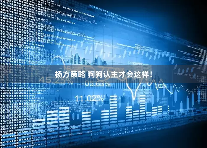 杨方策略 狗狗认主才会这样！