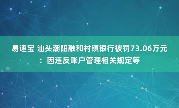 易速宝 汕头潮阳融和村镇银行被罚73.06万元:因违反账户管理相关规定等